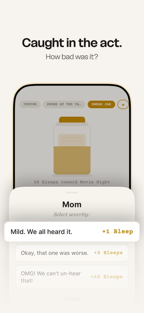 SwearJar severity screen